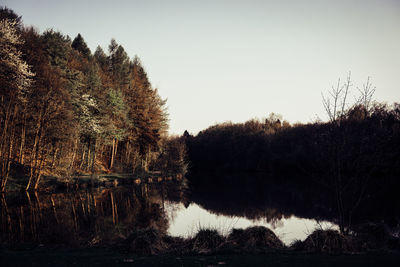 Scenic view of lake against clear sky