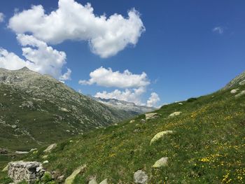 Scenic view of landscape against sky