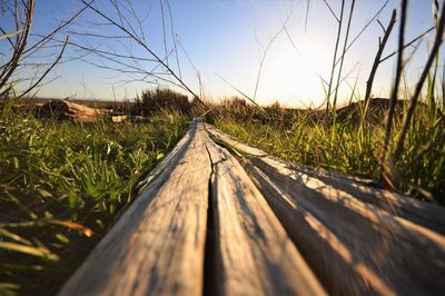 Log on grassy field against sky during sunset