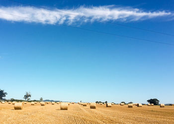 Hay bales on cultivated farm land against blue sky