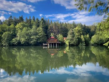 Reflection of trees in lake