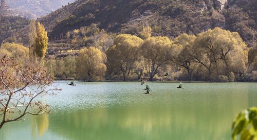 Scenic view of lake