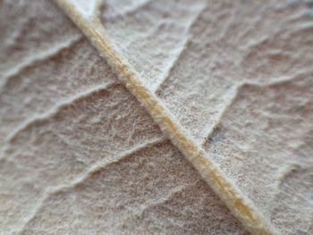 Full frame shot of bread