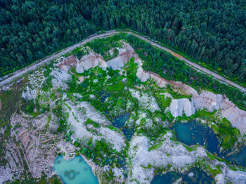 High angle view of trees on landscape