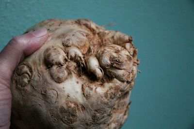 Cropped hand holding celeriac against green background