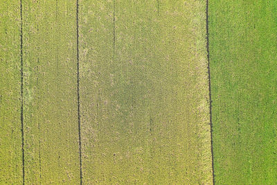 Aerial view of agricultural landscape