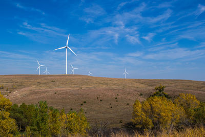 Scenic view of rural landscape