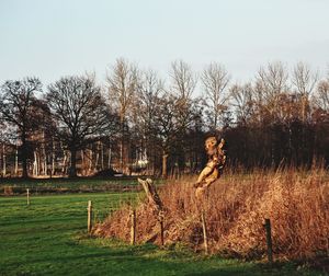 Bare trees on field against sky