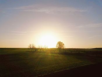 Sun shining through trees on landscape