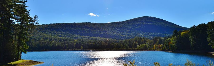 Reflection of trees in calm lake