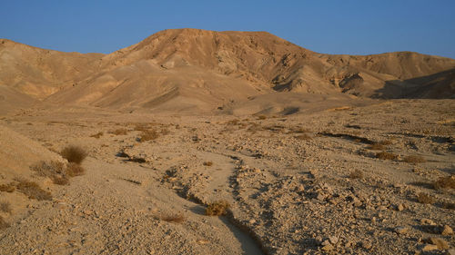 Scenic view of desert against clear sky