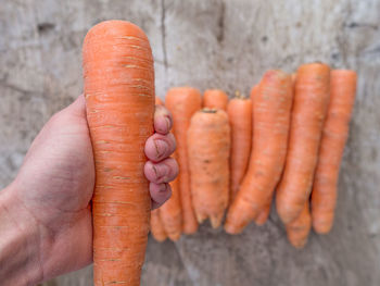 Close-up of carrots on wooden table