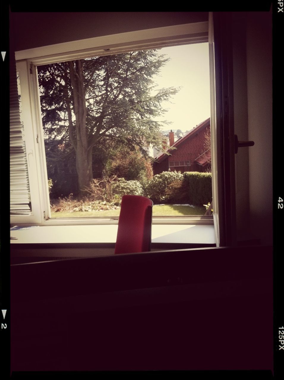 window, indoors, glass - material, transparent, tree, house, window sill, home interior, architecture, looking through window, built structure, curtain, open, door, sunlight, potted plant, day, plant, growth, no people