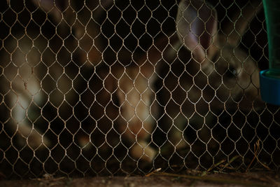 Full frame shot of chainlink fence