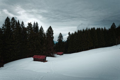 Snow covered land and trees against sky