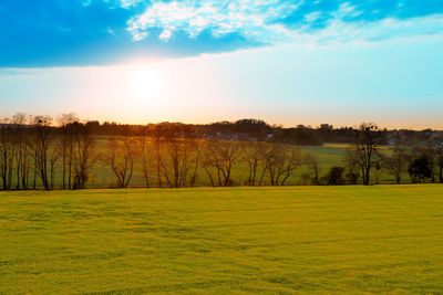 Scenic view of golf course against sky