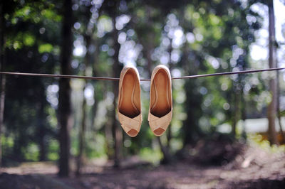 Close-up of clothes hanging on clothesline