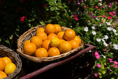 Close-up of fruits in basket