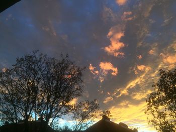 Low angle view of silhouette trees against sky during sunset