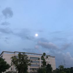 Low angle view of trees against sky