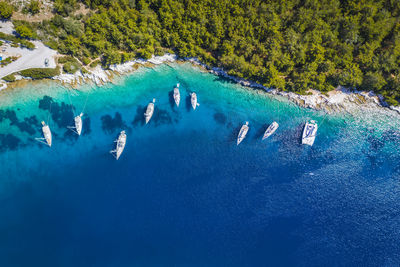 High angle view of sea and trees