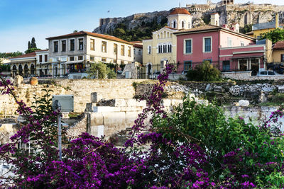 Flowering plants by buildings in town against sky