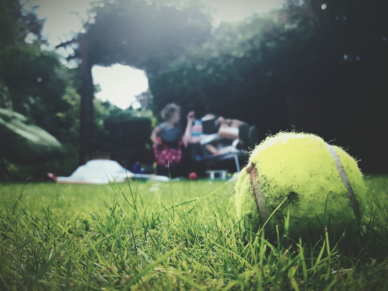 plant, grass, person, incidental people, relaxation, growth, selective focus, nature, day, focus on foreground, lens flare, green, tranquility, surface level, green color, fragility