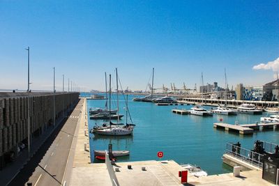 Sailboats moored in harbor