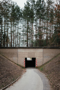 Road amidst trees in forest
