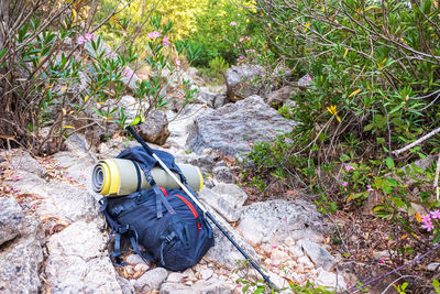 Man standing by rocks on land