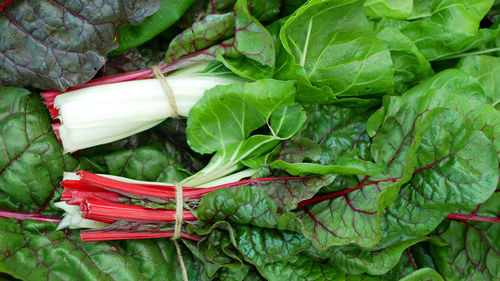 chard