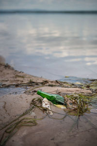 Scenic view of beach