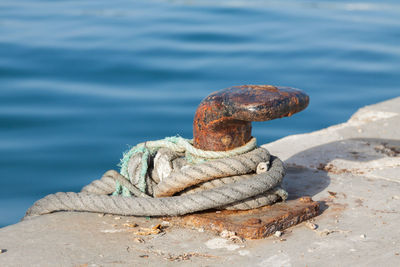 Close-up of rope tied on rock