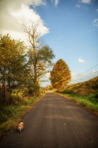 Empty road amidst trees against sky