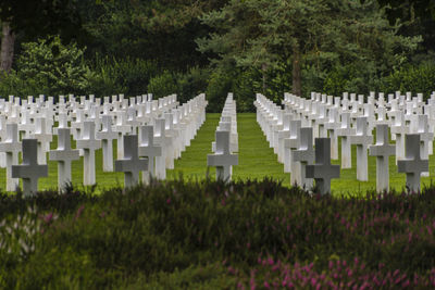 View of cemetery