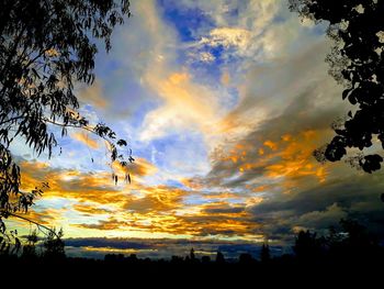 Low angle view of silhouette trees against dramatic sky