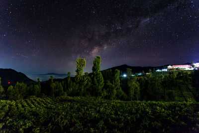 Scenic view of trees against sky at night