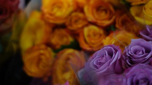 Close-up of rose bouquet