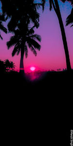 Silhouette palm trees against sky during sunset