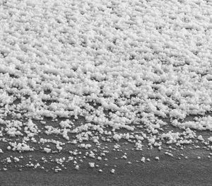 Full frame shot of sand on beach