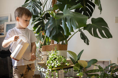 Rear view of boy standing by potted plant