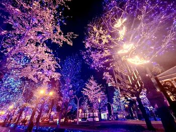 Low angle view of firework display at night