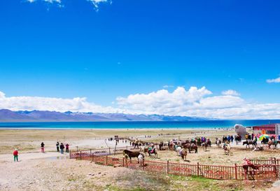 People on beach against blue sky