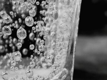 Black and white close-up of bubbles in water in a glass