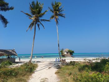 Palm trees on beach against clear blue sky