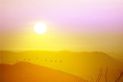 Sunset on top of wong phra jun mountain and silhouette birds flying on yellow gold sky