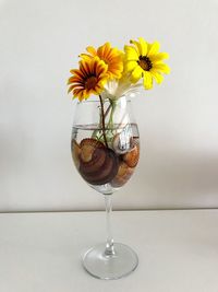 Close-up of flowers in vase on table