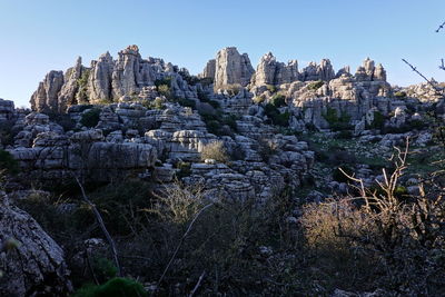 Panoramic view of rocks and trees against clear sky