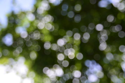 Defocused image of illuminated lights against sky at night