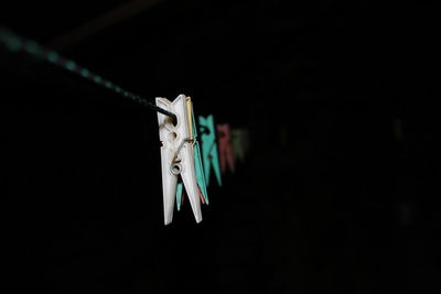 Close-up of clothes hanging on clothesline